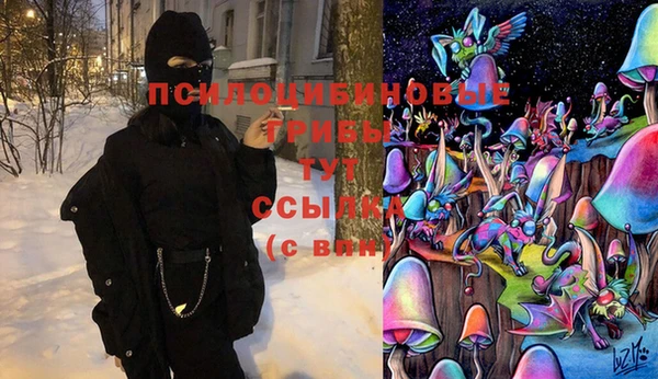прущая мука Бородино